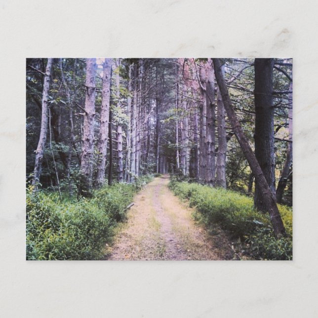 Carte Postale Perfection naturelle (Devant)