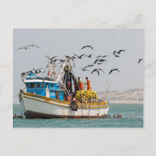 Carte Postale Pérou, Los Organos. Bateau De Pêche À Los Organos