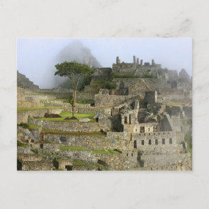 Carte Postale Pérou, Machu Picchu. L'ancienne citadelle de