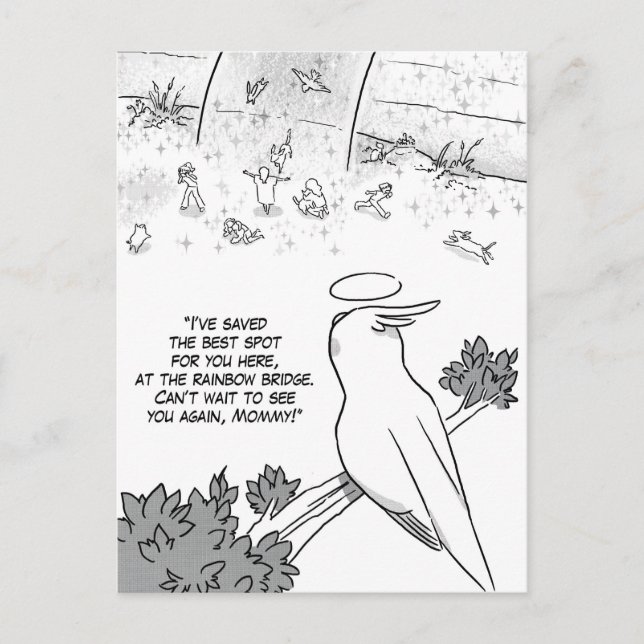 Carte Postale Perroquet de pont arc-en-ciel (Devant)