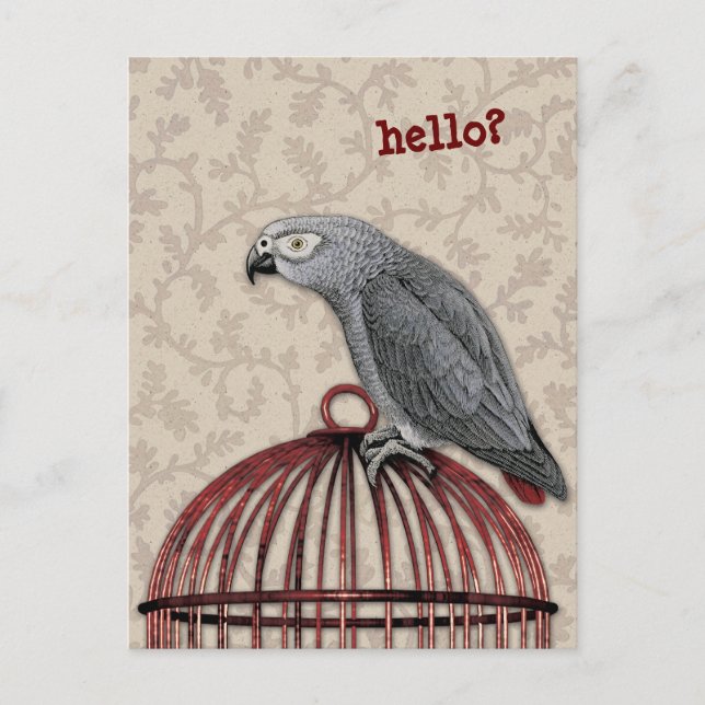 Carte Postale Perroquet gris africain sur cage à oiseaux rouges (Devant)