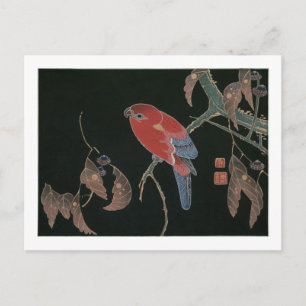 Carte Postale Perroquet rouge sur la branche d'un arbre, Jakuchú