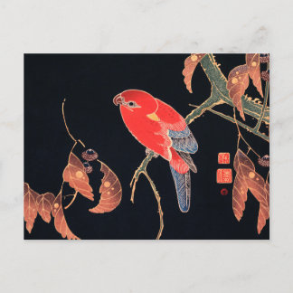 Carte Postale Perroquet rouge sur la branche d'un arbre par Ito