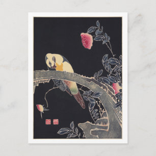 Carte Postale Perroquet sur la branche, Flower Rose Bush, Jakuch