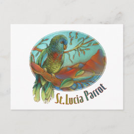 Carte Postale Perroquet tropical du St Lucia