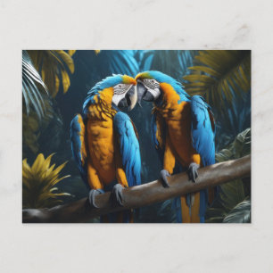 Carte Postale Perroquets colorés