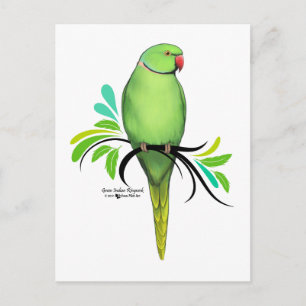 Carte Postale Perruche à collier indien vert