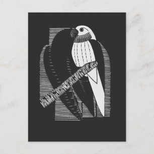 Carte Postale Perruche Dos Minimaliste Art Animalier Abstrait