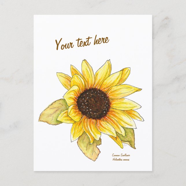 Carte postale personnalisable aquarelle tournesol (Devant)