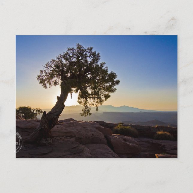 Carte Postale Personnalisable : Canyonlands & Dead Horse Point C (Devant)