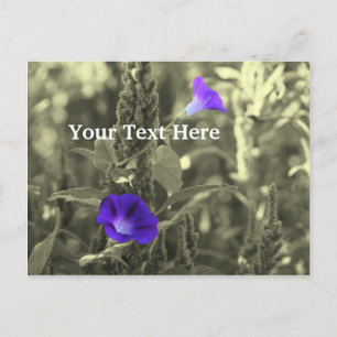 Carte postale personnalisable Morning Glories