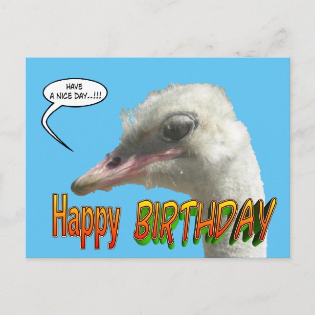 Carte postale personnalisable Ostrich Happy Birthd (Devant)