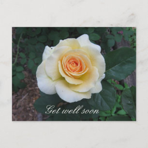 Carte postale Personnalisable Rose Jaune