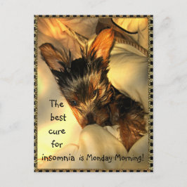 Carte postale personnalisable Sleepy Yorkie