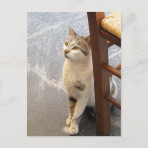 Carte postale personnalisée