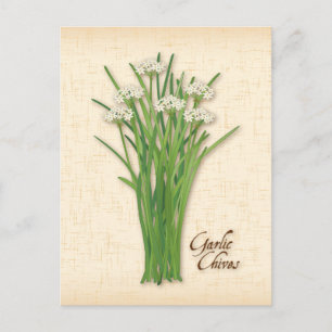 Carte postale personnalisée avec ciboulette et ail