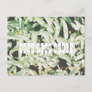 Carte postale personnalisée avec des plantes vert