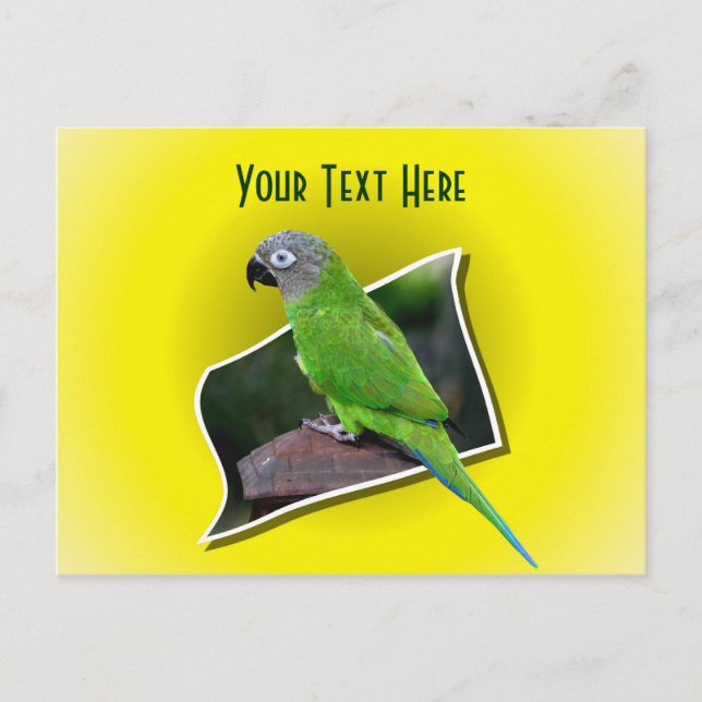 Carte postale personnalisée pour animal perroquet  (Devant)