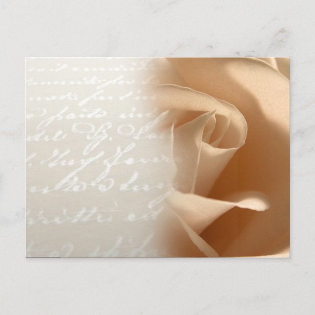 Carte postale personnalisée pour mariage Cream Ros (Devant)