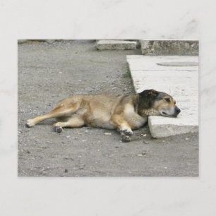 Carte postale personnalisée Tired Dog