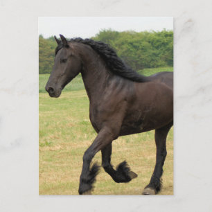 Carte Postale Personnaliser