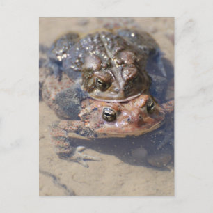 Carte Postale Personnaliser