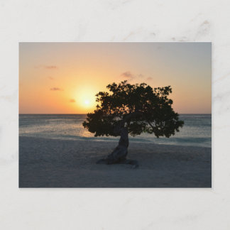 Carte Postale Personnaliser