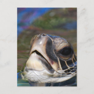 Carte Postale Personnaliser