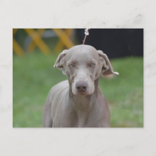 Carte Postale Personnaliser