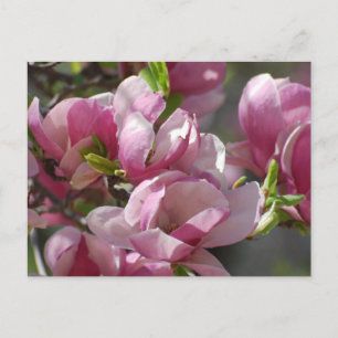 Carte Postale Personnaliser