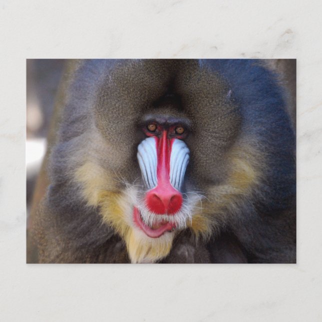 Carte Postale Personnaliser (Devant)