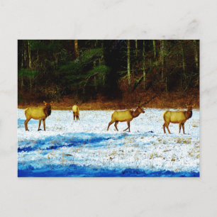 Carte Postale Personnaliser