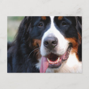 Carte Postale Personnaliser