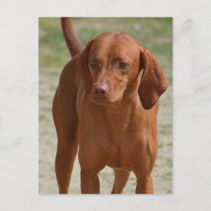 Carte Postale Personnaliser