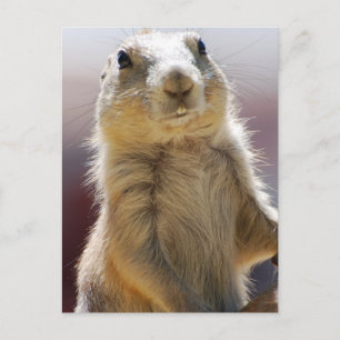 Carte Postale Personnaliser