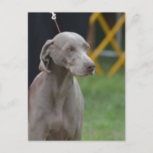 Carte Postale Personnaliser