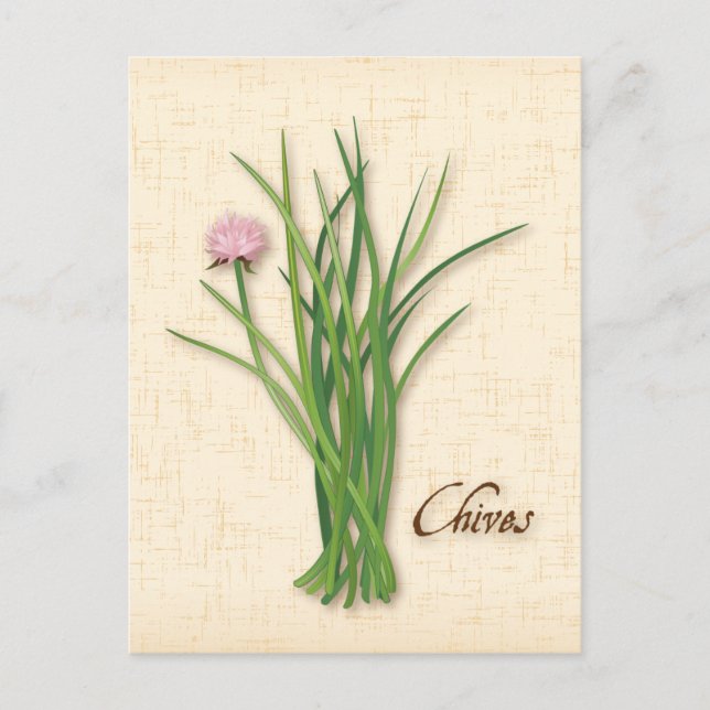 Carte Postale Personnaliser Chives Herb (Devant)