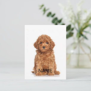 Carte Postale Personnaliser la Personnaliser avec photo & nom