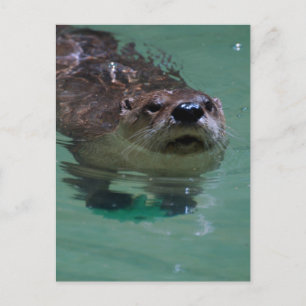 Carte Postale Personnaliser le produit