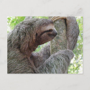 Carte Postale Personnaliser le produit