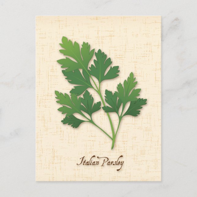 Carte postale Personnaliser Persil italienne (Devant)