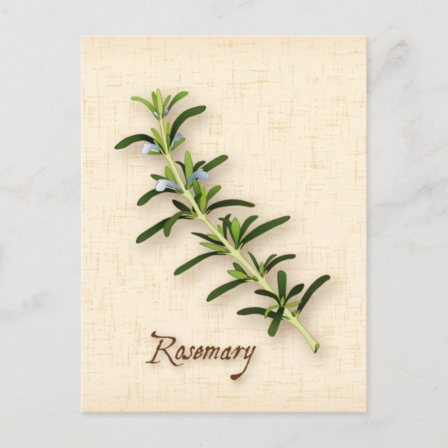 Carte postale Personnaliser Rosemary Herb (Devant)