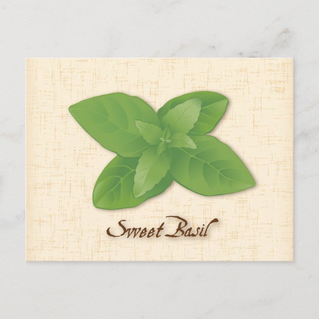 Carte postale Personnaliser Sweet Basil (Devant)