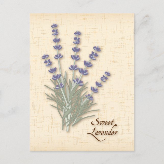 Carte postale Personnaliser Sweet Lavender (Devant)