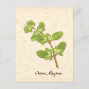 Carte postale Personnaliser Sweet Marjoram