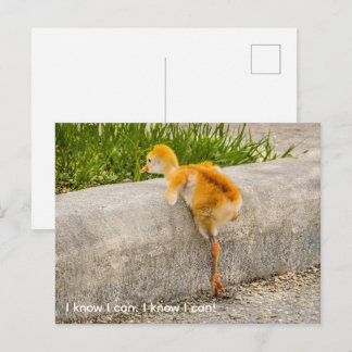 Carte Postale Personnalisez joli poussin "Je sais que je peux. J