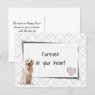 Carte Postale Perte de sympathie pour animal de compagnie Golden
