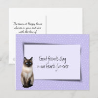 Perte d'un chat siamois chez le vétérinaire