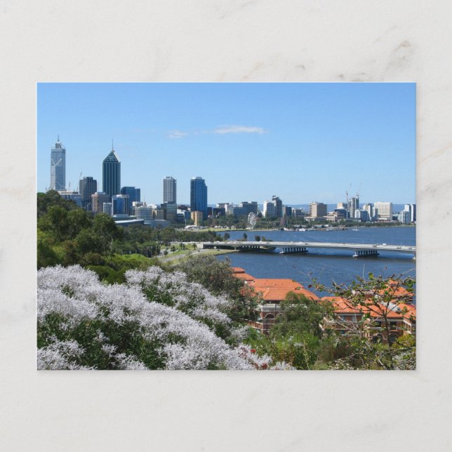 Carte Postale Perth (Devant)