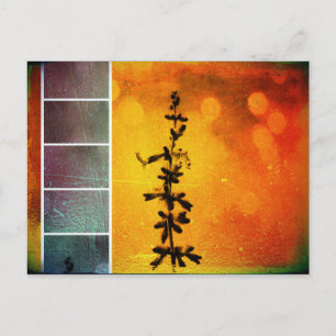 Carte postale Pervoskia Collage Aflame